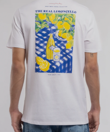 Tee-shirt TEDDY SMITH