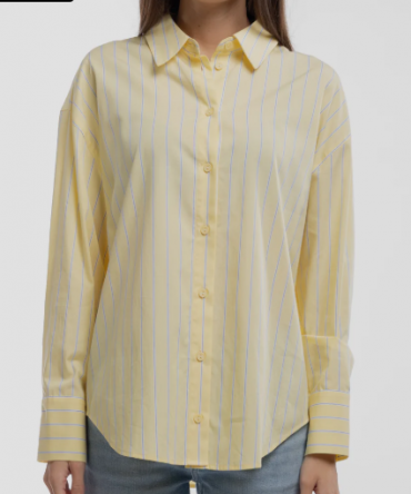 Chemise TEDDY SMITH