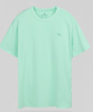 Tee-shirt TEDDY SMITH