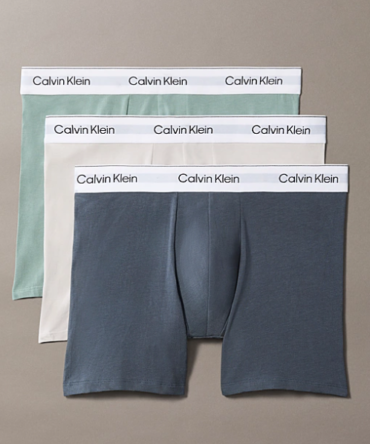 Lot de 3 Boxers CALVIN KLEIN